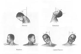 Stretching In The Office: Neck, Shoulder & Upper Limb - Melbourne osteopathy clinic